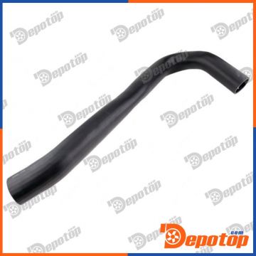 Gaine de suralimentation pour RENAULT | GPP-RE-159, 12738